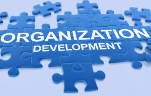 Organizational Development Services in Uganda