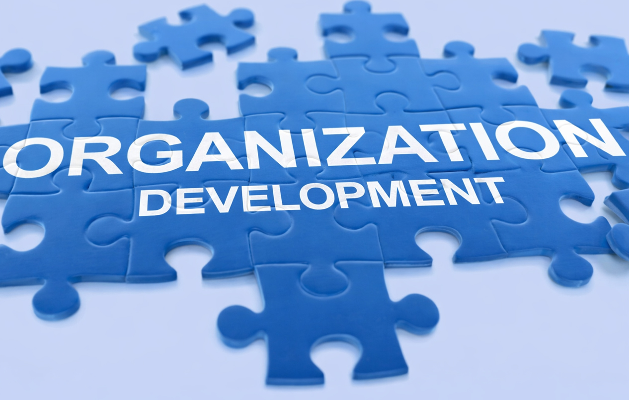 Organizational Development Services in Uganda